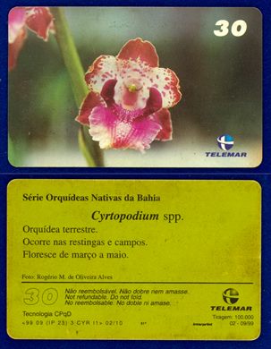 Telemar Serie Orquideas Nativas da Bahia 02-10