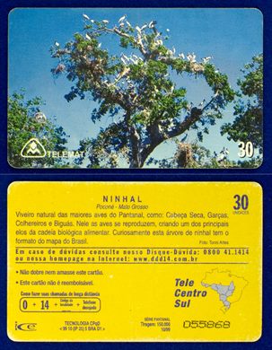 Telemat Serie Pantanal