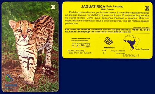 Telemat Serie Pantanal 0579