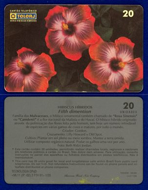 TeleRJ Serie Hibiscus Hibridos 1-20