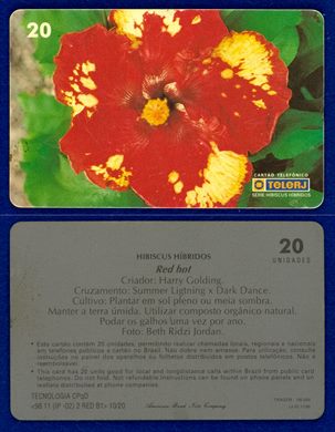 TeleRJ Serie Hibiscus Hibridos 10-20