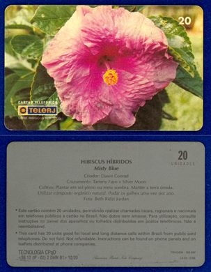 TeleRJ Serie Hibiscus Hibridos 12-20