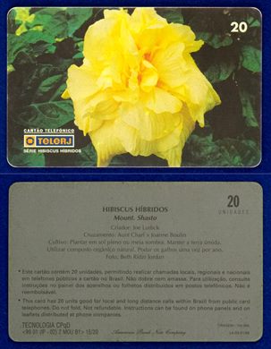 TeleRJ Serie Hibiscus Hibridos 15-20