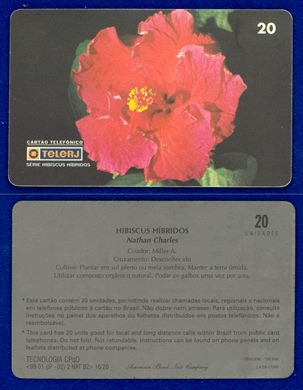 TeleRJ Serie Hibiscus Hibridos 16-20