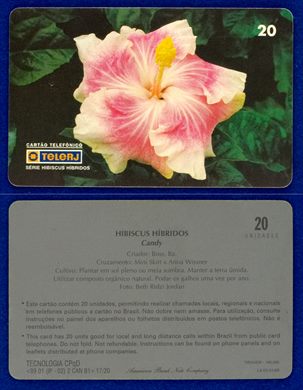 TeleRJ Serie Hibiscus Hibridos 17-20
