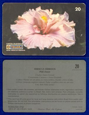 TeleRJ Serie Hibiscus Hibridos 18-20