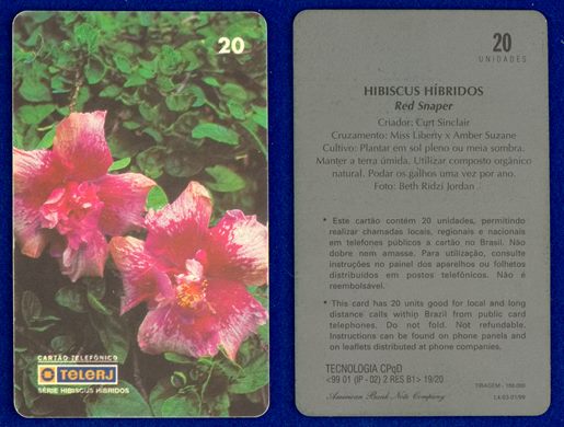 TeleRJ Serie Hibiscus Hibridos 19-20