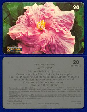 TeleRJ Serie Hibiscus Hibridos 2-20