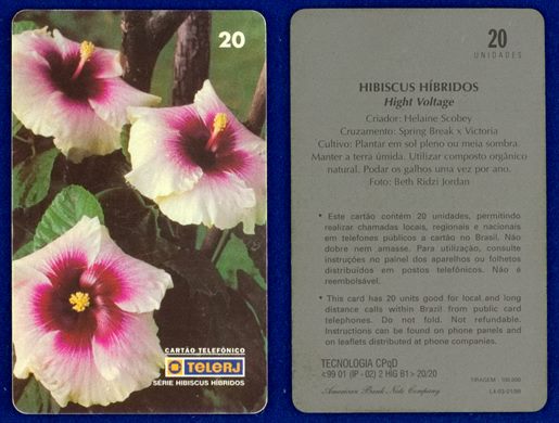 TeleRJ Serie Hibiscus Hibridos 20-20