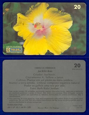TeleRJ Serie Hibiscus Hibridos 3-20