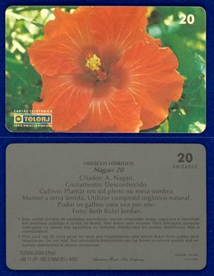 TeleRJ Serie Hibiscus Hibridos 4-20