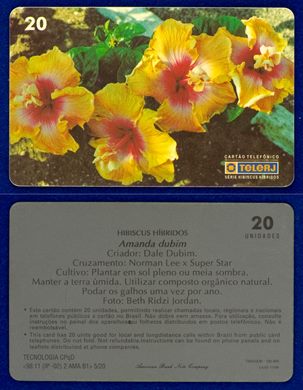 TeleRJ Serie Hibiscus Hibridos 5-20