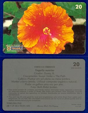 TeleRJ Serie Hibiscus Hibridos 6-20