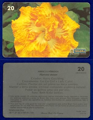 TeleRJ Serie Hibiscus Hibridos 7-20
