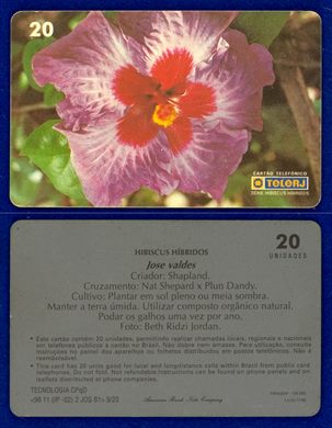 TeleRJ Serie Hibiscus Hibridos 9-20