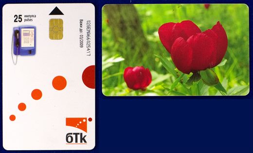 BulFon BTC 25pulses (1)