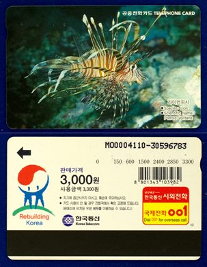 Korea Telecom 04