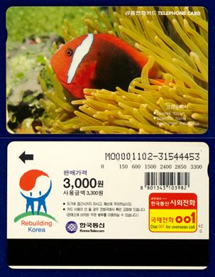 Korea Telecom 05