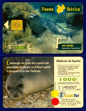 Telefonica 003