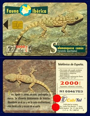 Telefonica 004