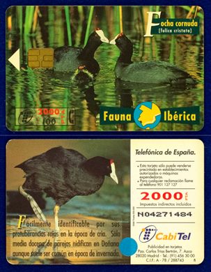Telefonica 005