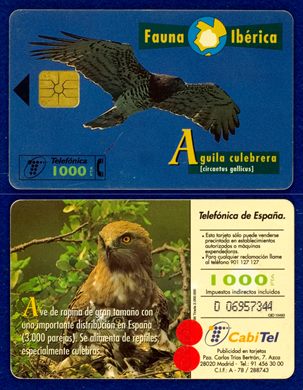 Telefonica 007