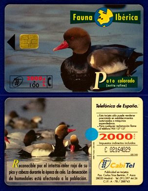 Telefonica 008
