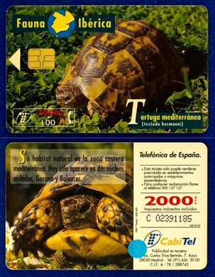 Telefonica 010