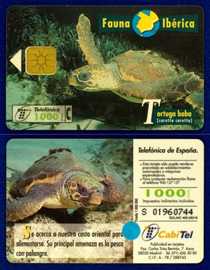 Telefonica 013