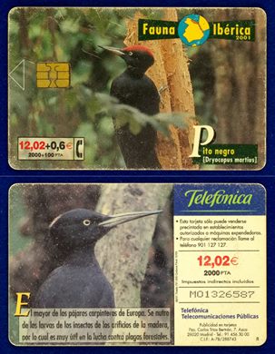 Telefonica 017