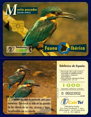 Telefonica 019