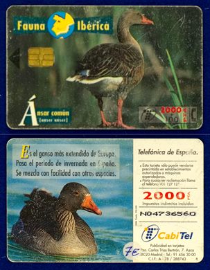 Telefonica 021