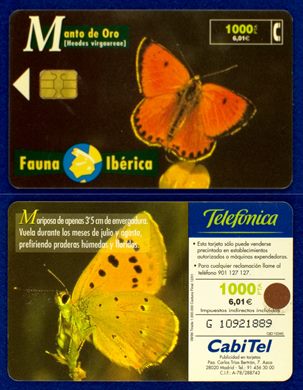 Telefonica 024