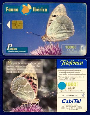 Telefonica 031