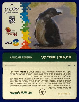 animals 01
