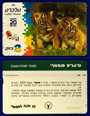 animals 03