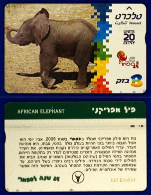 animals 04