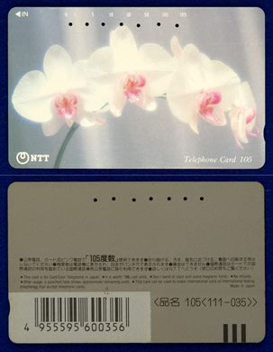 NTT 105(111-035)