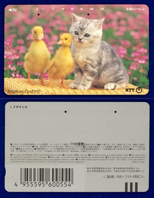 NTT 105(111-055) (4)