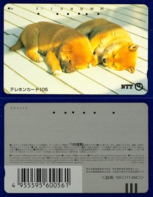 NTT 105(111-056)