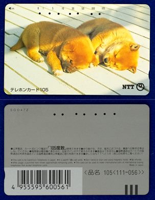 NTT 105(111-056) (3)