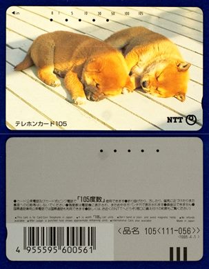 NTT 105(111-056) 1995.4.1