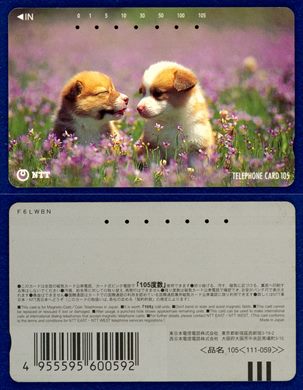 NTT 105(111-059) (4)