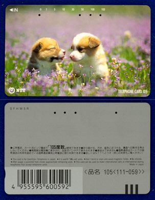 NTT 105(111-059) (6)