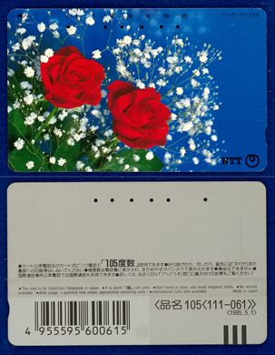 NTT 105(111-061) 1995.5.1 (3)