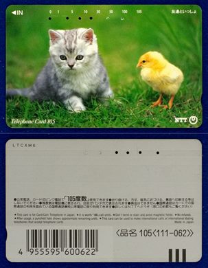 NTT 105(111-062)