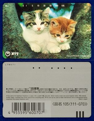 NTT 105(111-070) (2)
