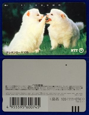 NTT 105(111-074) 1995.9.1