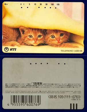 NTT 105(111-076) 1995.9.1