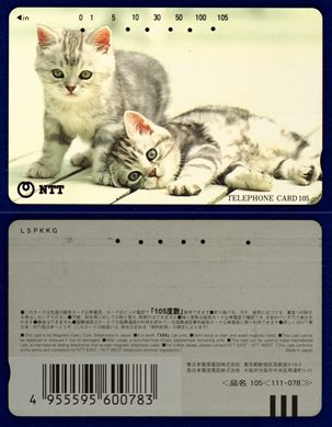 NTT 105(111-078)